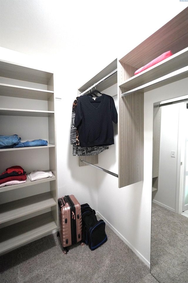1135 SW Lost Trail Dr, Pullman, WA 99163 - walk in closet with carpet flooring