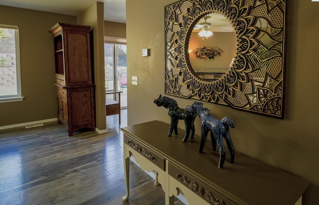 1135 SW Lost Trail Dr, Pullman, WA 99163 - hallway with wood finished floors and healthy amount of natural light