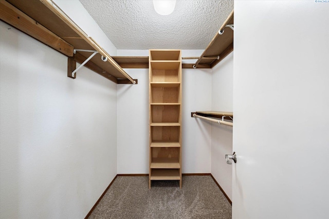 2714 W John Day Ave, Kennewick, WA 99336 - spacious closet with carpet flooring