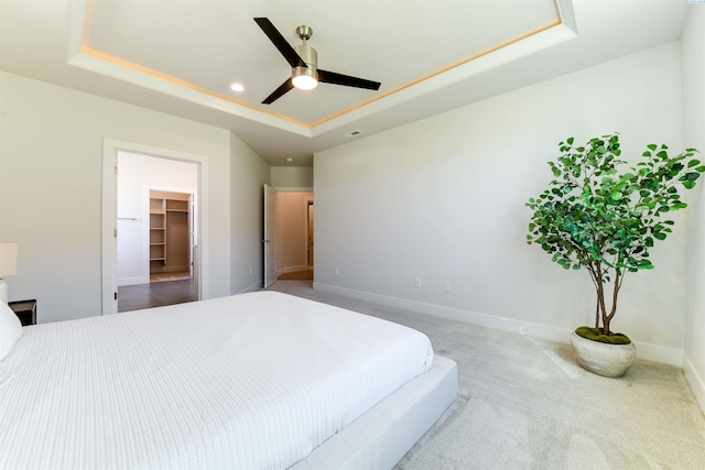 bedroom with ceiling fan, carpet flooring, a tray ceiling, and a walk in closet