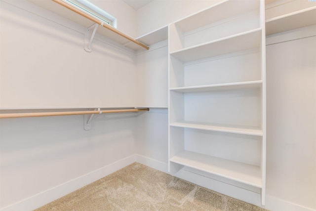 spacious closet featuring carpet flooring