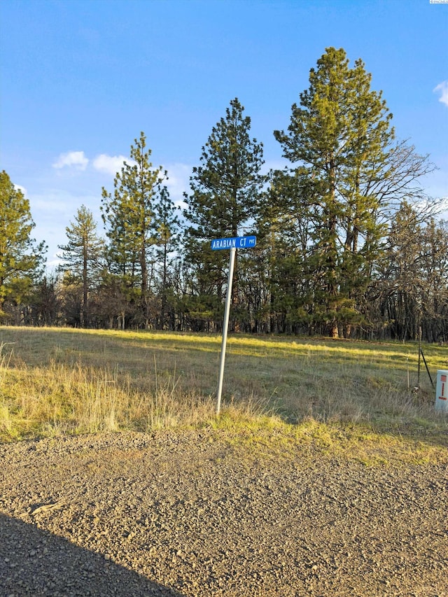 NKA10 Arabian Ct, Centerville, WA 98613