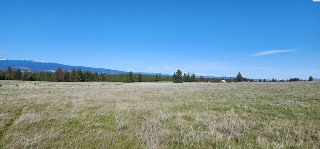 NKA10 Arabian Ct, Centerville, WA 98613