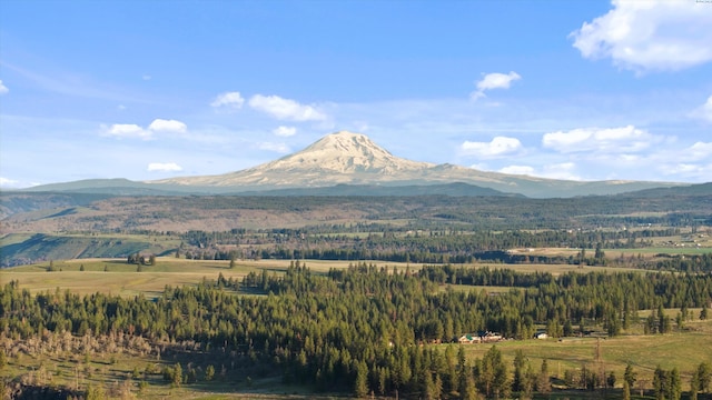 NKA10 Arabian Ct, Centerville, WA 98613