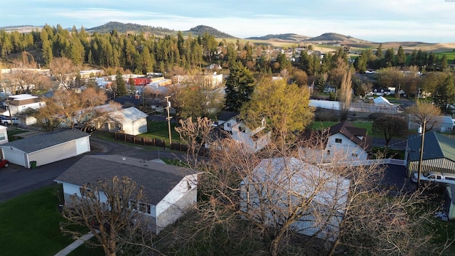 225 W Alder St, Palouse, WA 99161 - aerial view of a mountain backdrop
