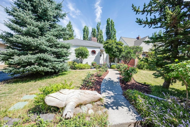 410 SE Dexter St, Pullman, WA 99163 - photo 4