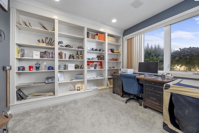 3501 W 42nd Ave, Kennewick, WA 99337 - view of carpeted office
