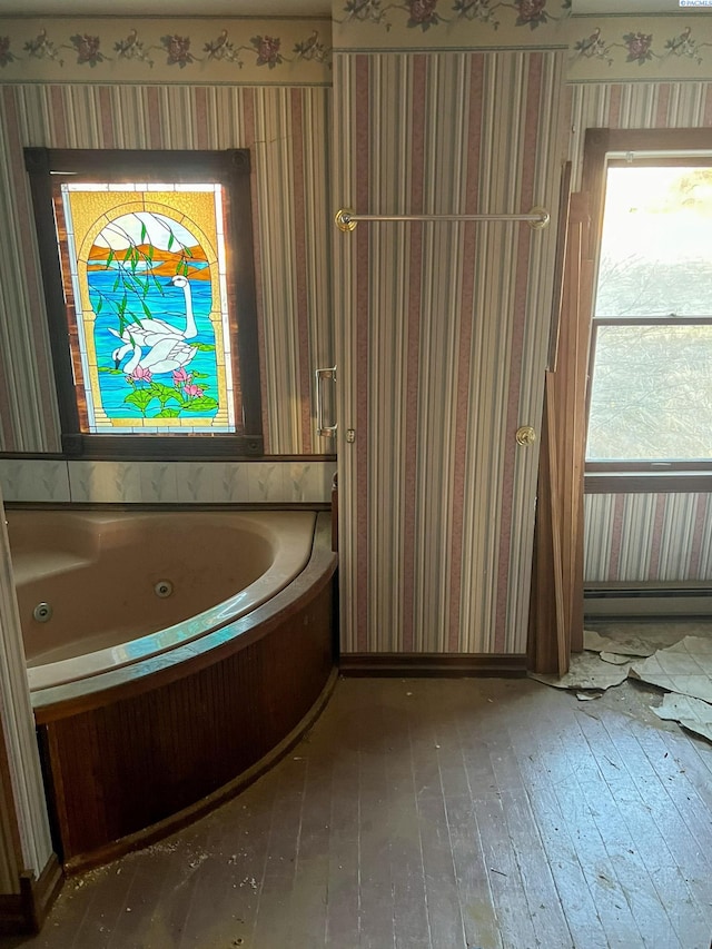 bathroom with hardwood / wood-style flooring and a bathing tub