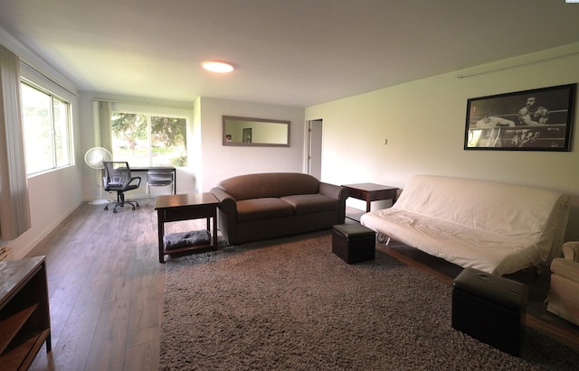 living room with hardwood / wood-style flooring