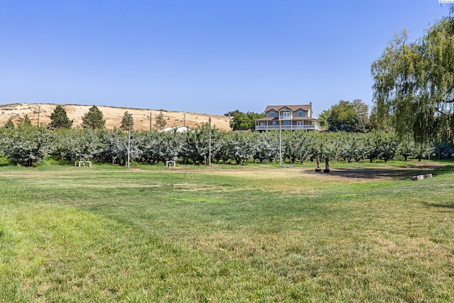 38906 Demoss Rd, Benton City, WA 99320 - photo 8