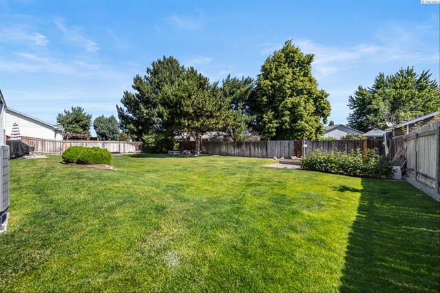 2302 W 31st Ave, Kennewick, WA 99337 - view of yard