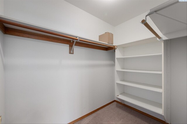 2302 W 31st Ave, Kennewick, WA 99337 - spacious closet with carpet flooring