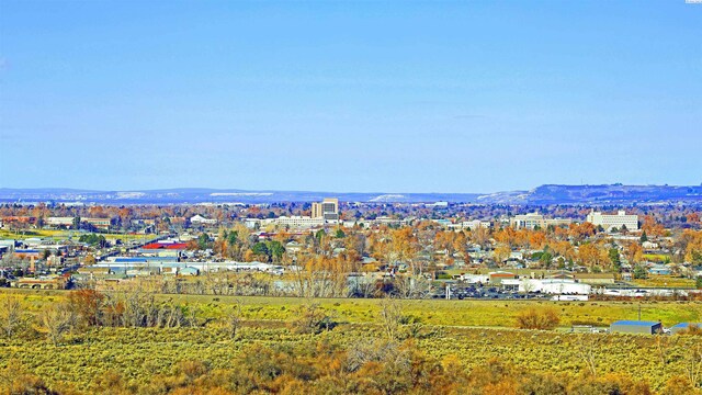 1044 Allenwhite Dr, Richland, WA 99352 - photo 4
