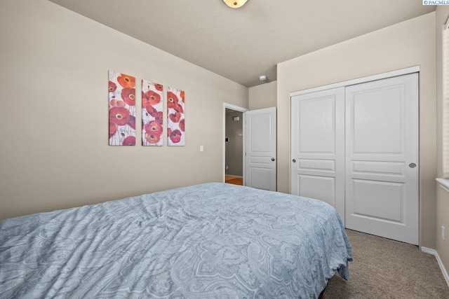 bedroom featuring carpet floors and a closet