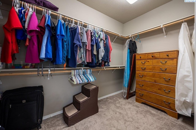 walk in closet featuring carpet flooring