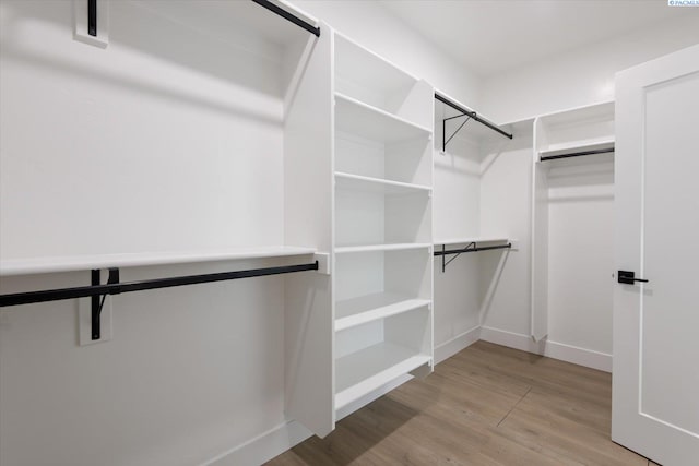 spacious closet featuring light hardwood / wood-style flooring