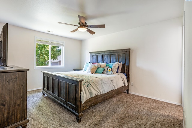 4214 Finnhorse Ln, Pasco, WA 99301 - photo 14