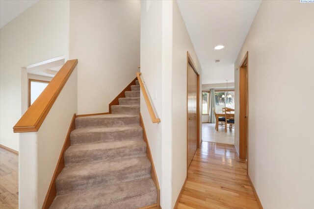 5420 Swan Ct, West Richland, WA 99353 - photo 20