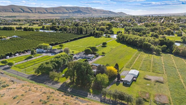 45204 N Demoss Rd, Benton City, WA 99320 - photo 25