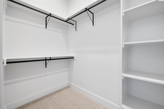 spacious closet featuring carpet floors