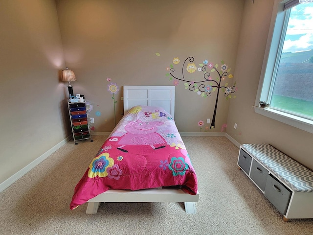 439 Golden Dr, Richland, WA 99352 - photo 12