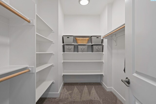 walk in closet with carpet