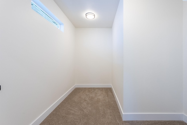 spacious closet featuring carpet flooring