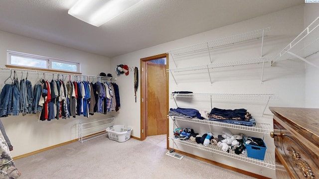 spacious closet featuring carpet flooring