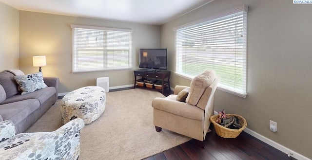 living room featuring wood-type flooring