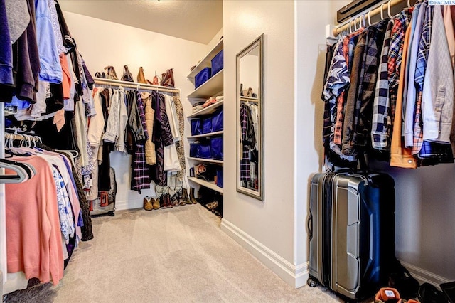 87021 Summit View Dr, Kennewick, WA 99338 - walk in closet with carpet floors