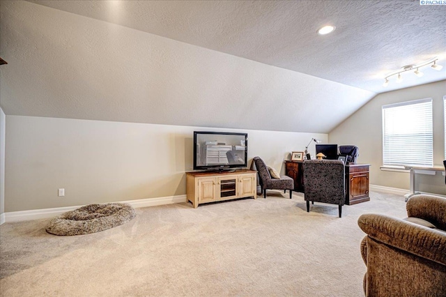 87021 Summit View Dr, Kennewick, WA 99338 - living area featuring a textured ceiling, lofted ceiling, light carpet, and baseboards