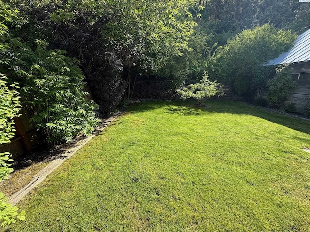 419 W A Ave, Colfax, WA 99111 - view of yard