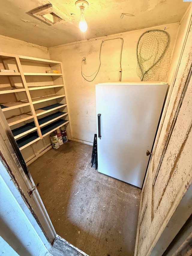 419 W A Ave, Colfax, WA 99111 - view of below grade area