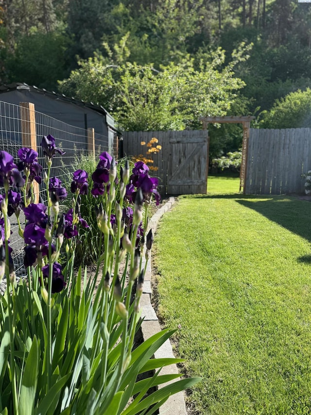 419 W A Ave, Colfax, WA 99111 - view of yard