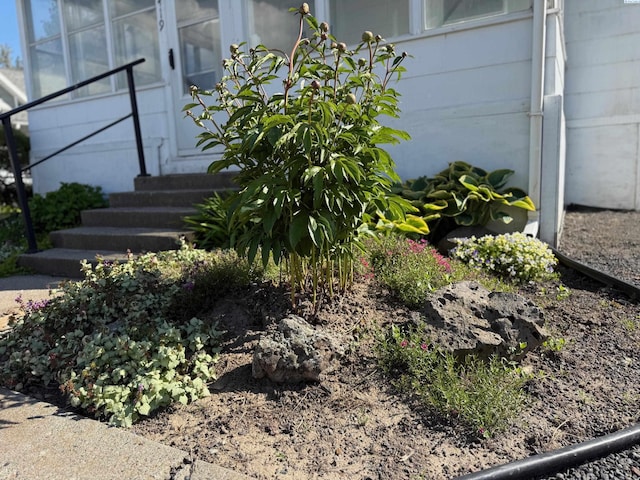 419 W A Ave, Colfax, WA 99111 - exterior view of entry steps