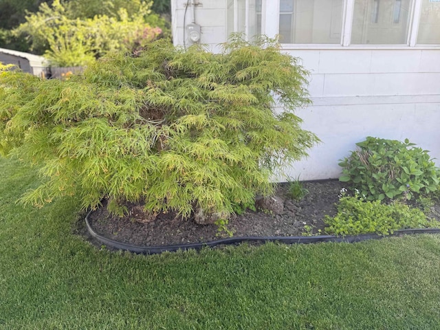 419 W A Ave, Colfax, WA 99111 - view of grassy yard