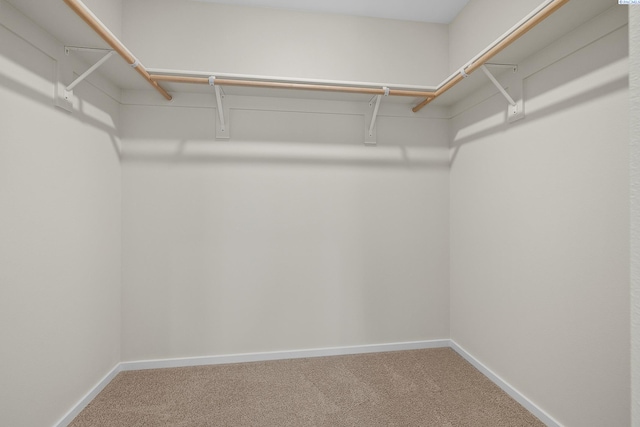 688 S Zeelar St, Kennewick, WA 99336 - spacious closet featuring carpet