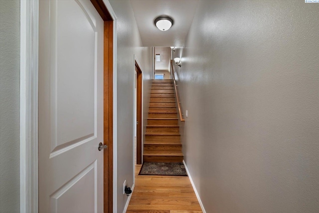 9915 S Grandview Ln, Kennewick, WA 99338 - photo 28