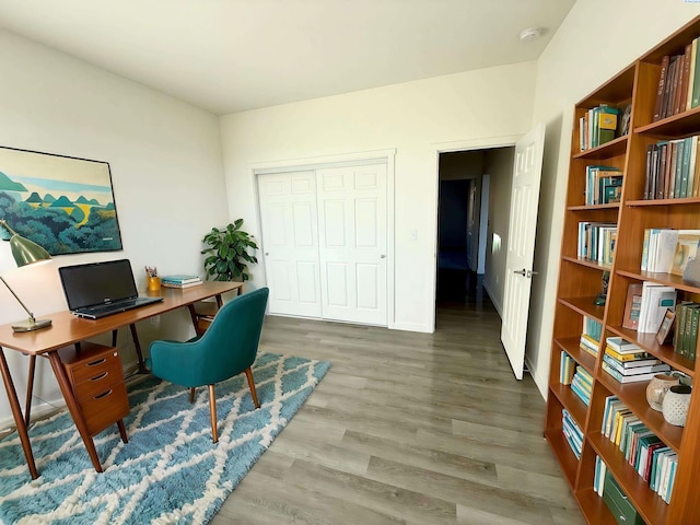 office area featuring wood finished floors