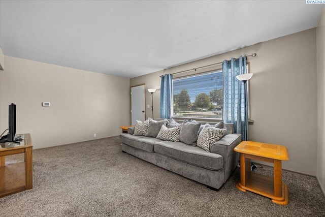 500 Blue St, Richland, WA 99354 - photo 13