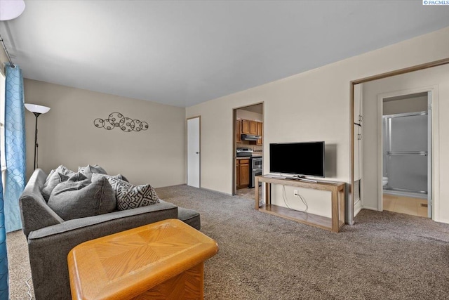 500 Blue St, Richland, WA 99354 - photo 5