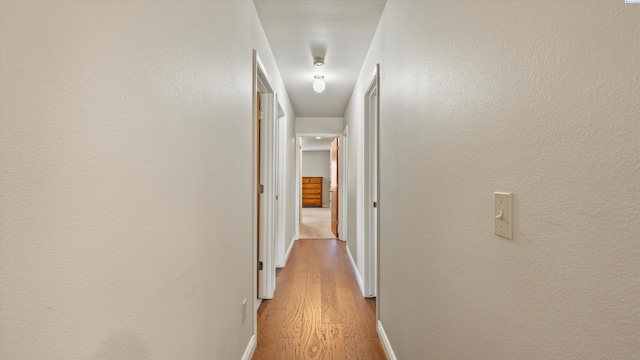 151002 W Richards Rd, Prosser, WA 99350 - hallway with light wood finished floors and baseboards