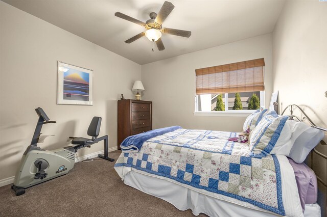 1205 Plateau Dr, Richland, WA 99352 - photo 31