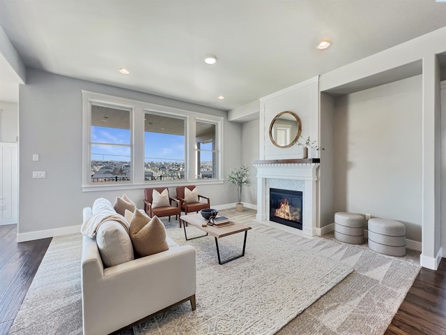 living area featuring a glass covered fireplace, wood finished floors, and baseboards