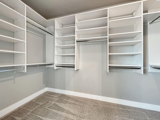 spacious closet with dark colored carpet