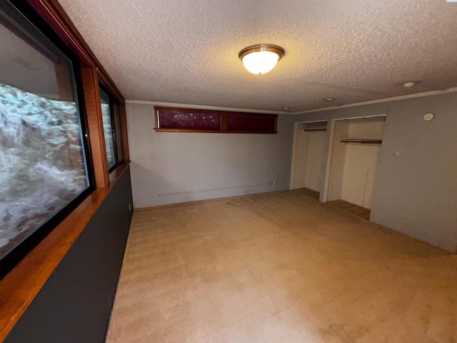 1630 NE Gaines Rd, Pullman, WA 99163 - unfurnished bedroom featuring a textured ceiling, light colored carpet, and a closet