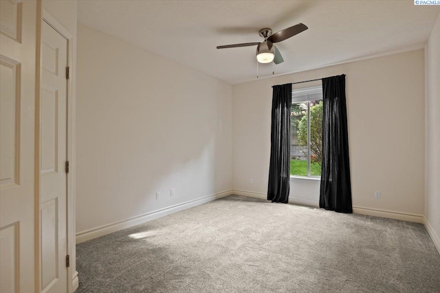 2349 Morency Dr, Richland, WA 99352 - photo 35