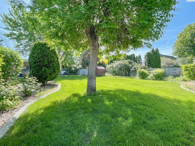 view of yard with a fenced backyard