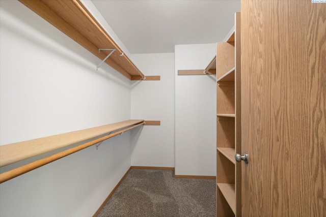 4607 Yuma Dr, Pasco, WA 99301 - walk in closet with carpet floors
