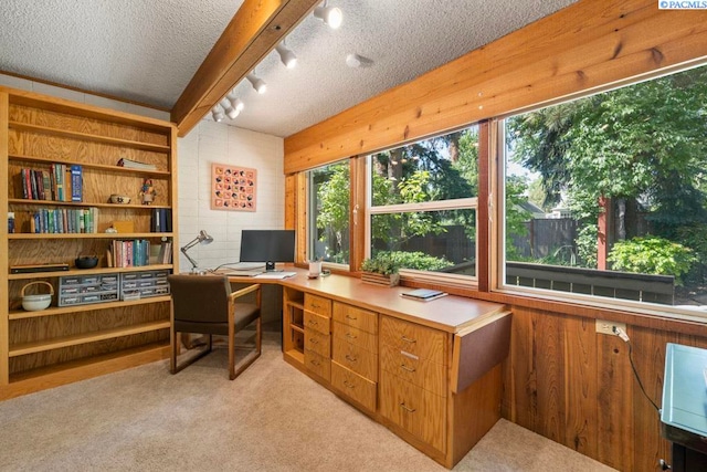 835 SE Spring St, Pullman, WA 99163 - office featuring a textured ceiling, wooden walls, light colored carpet, and rail lighting
